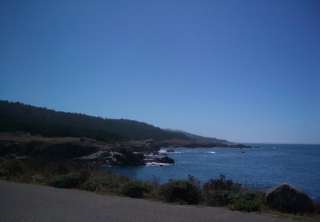 Salt Point